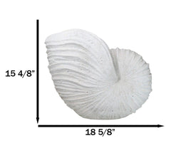 18.5"L White Nautical Marine Ocean Giant Nautilus Sea Shell Decorative Sculpture-9