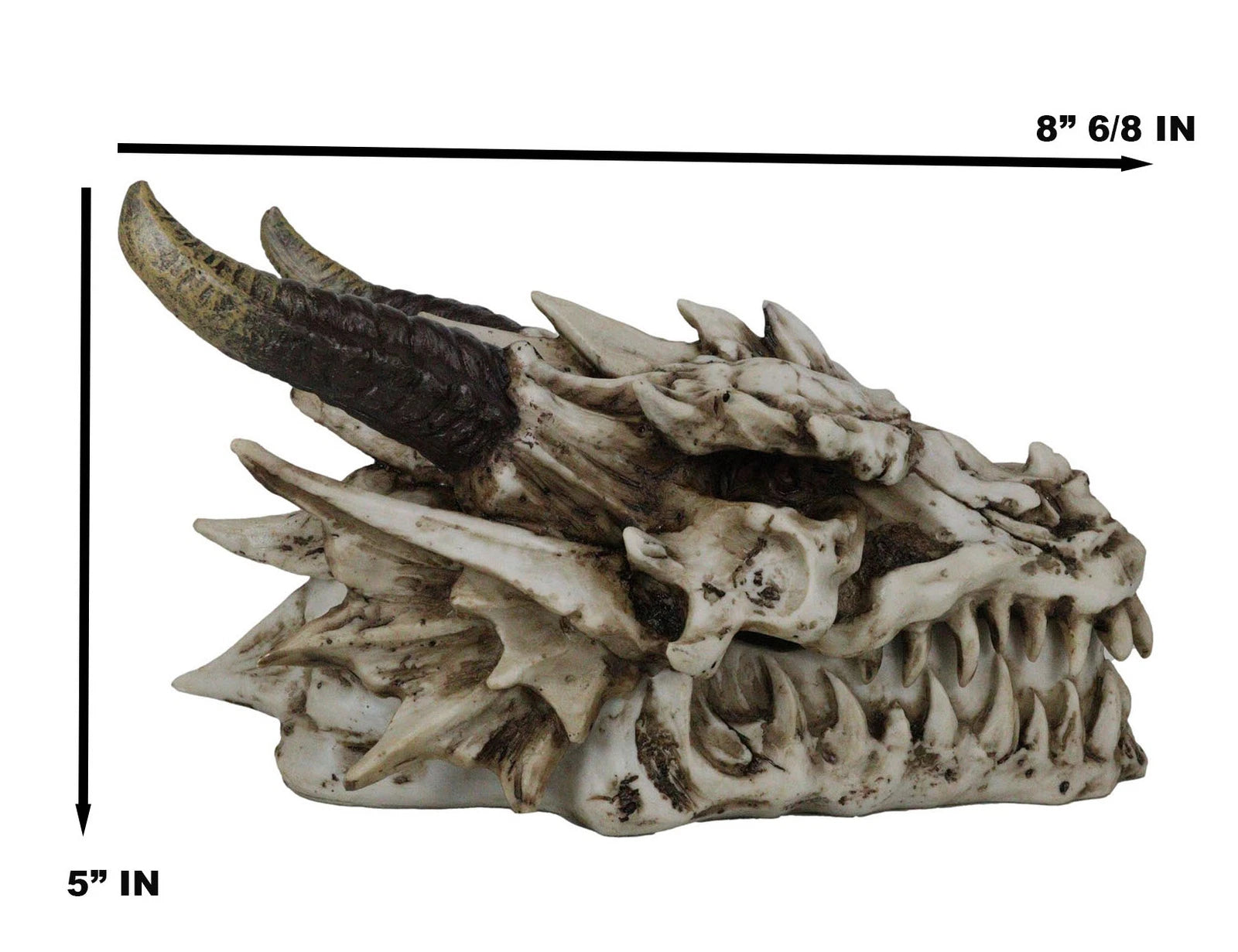 9"L Smoking Bone Skeleton Fossil Dragon Head Skull Incense Burner Box Statue-9
