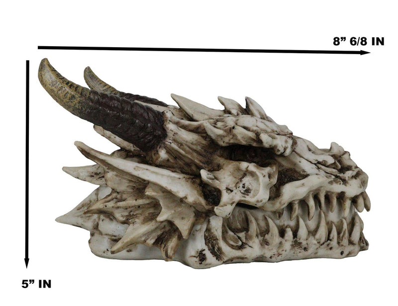 9"L Smoking Bone Skeleton Fossil Dragon Head Skull Incense Burner Box Statue-9
