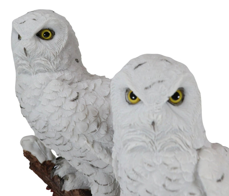 Mystical Two White Snowy Owl Couple Perching On Tree Branch Statue 12.25"Tall-11
