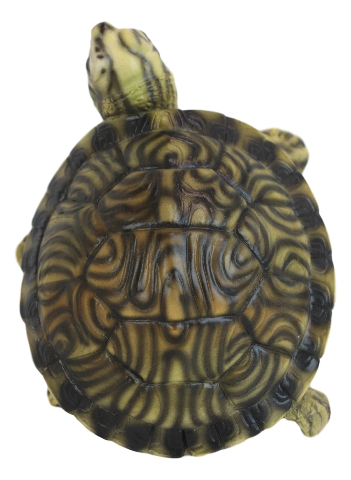 Lifelike Yellow Bellied Slider Turtle Tortoise Figurine 4.75"L Zen Feng Shui-7
