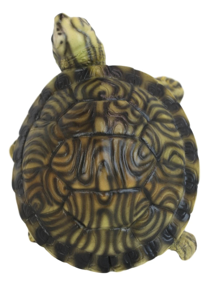 Lifelike Yellow Bellied Slider Turtle Tortoise Figurine 4.75"L Zen Feng Shui-7