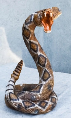 Realistic Attacking Coiled Diamondback Rattlesnake With Fangs Bared Figurine-12