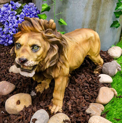 Realistic African Lion King Of The Jungle Growling And Baring Teeth Statue 16"L-1