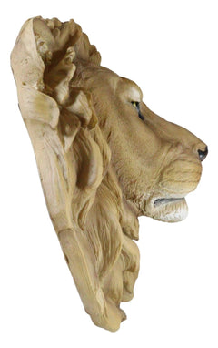 Lion Head Wall Decor Plaque 16" Tall Taxidermy Art Decor Sculpture-8