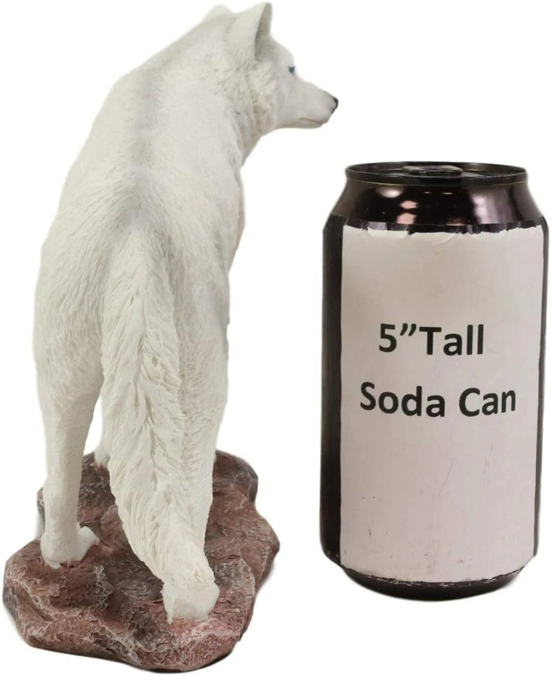 Estatua realista de lobo albino blanco como la nieve de la tundra cazadora invernal de 20 cm de largo-6