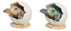 Pack Of 2 Marine Blue And Brown Sea Turtle Hatchlings In Egg Shells Figurines-9