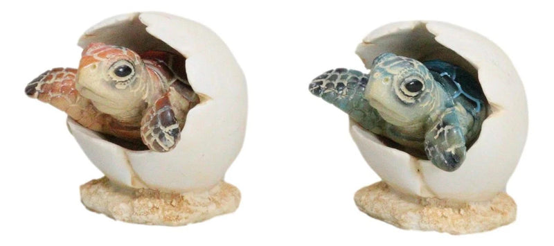 Pack Of 2 Marine Blue And Brown Sea Turtle Hatchlings In Egg Shells Figurines-9