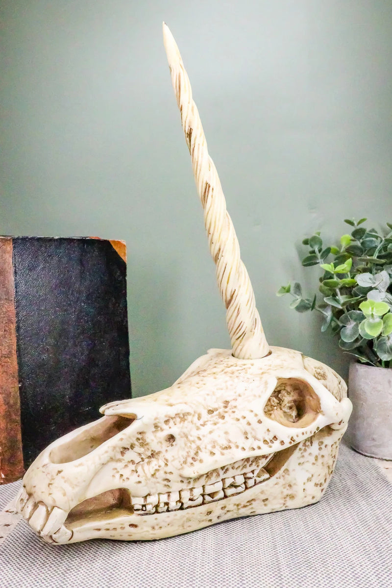 Fossil Unicorn Skull Rare Mythical Phantom Creature Skeleton Figurine-11