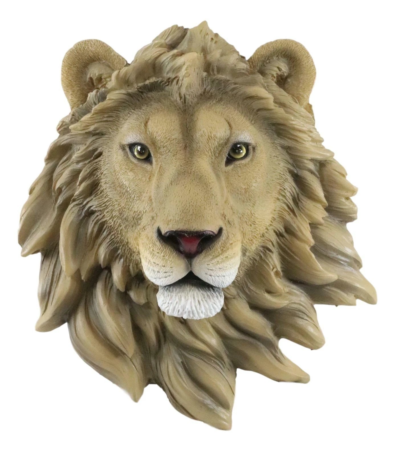 Safari King Of The Jungle Lion Head Wall Plaque 9.25"Tall Taxidermy-10