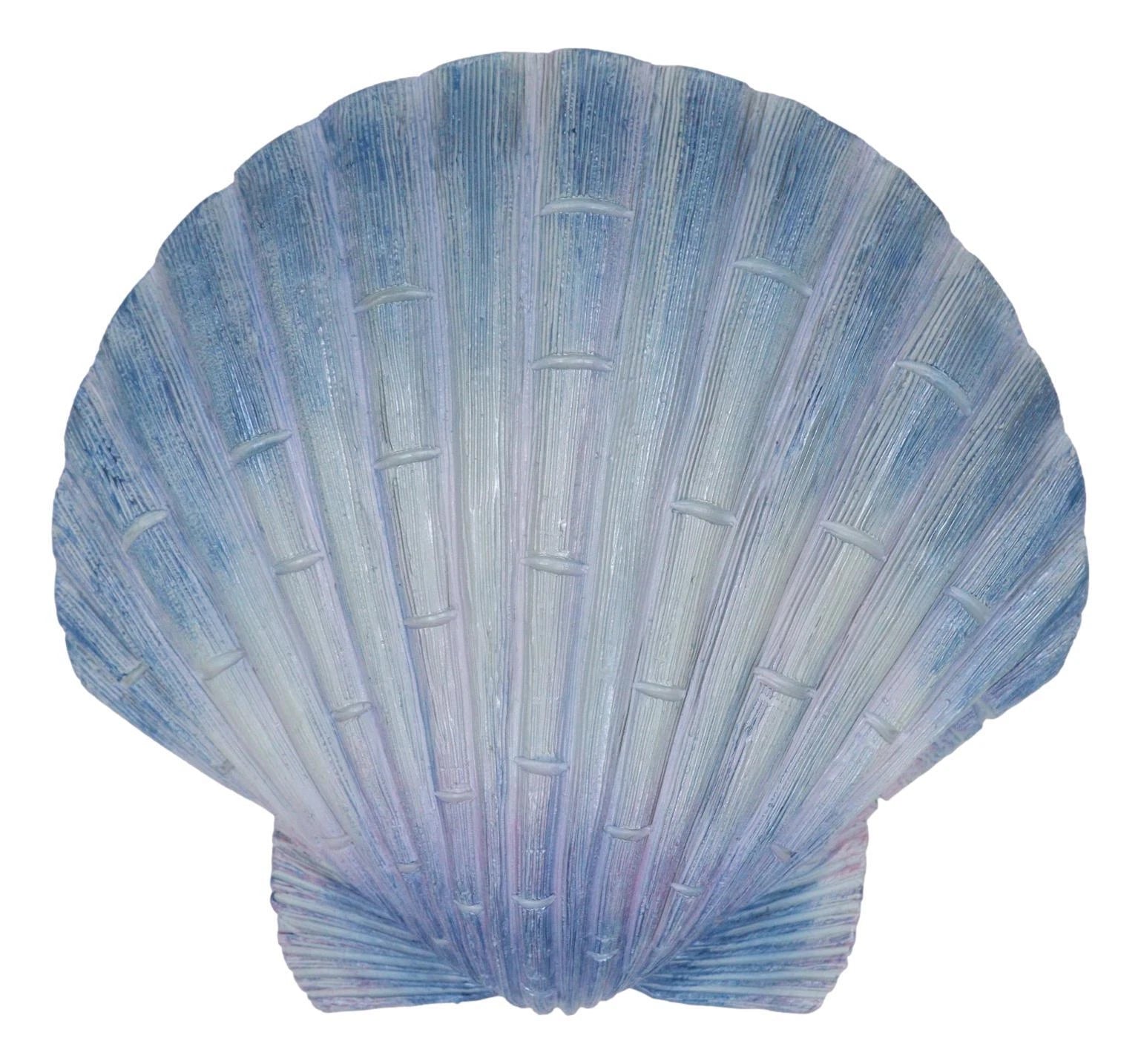 Ocean Nautical Marine Beach Aqua Blue Scallop Sea Shell Wall Plaque Decor 8.25"L-10