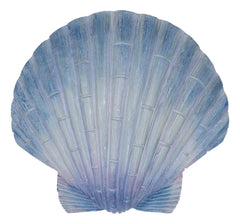 Ocean Nautical Marine Beach Aqua Blue Scallop Sea Shell Wall Plaque Decor 8.25"L-10