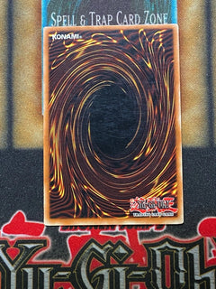 Yugioh Ring Of Destruction PGD-000 Secret Rare REVERSE FOIL MISPRINT ERROR NM-2