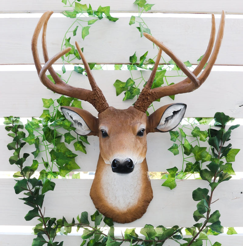 8 Point Buck Deer Bust Champion Wall Mount Sculpture Plaque Figurine 21"H-10