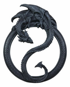Feng Shui Yin Yang Harmony Celestial Dragon Wall Hanging Mirror Plaque Decor-8