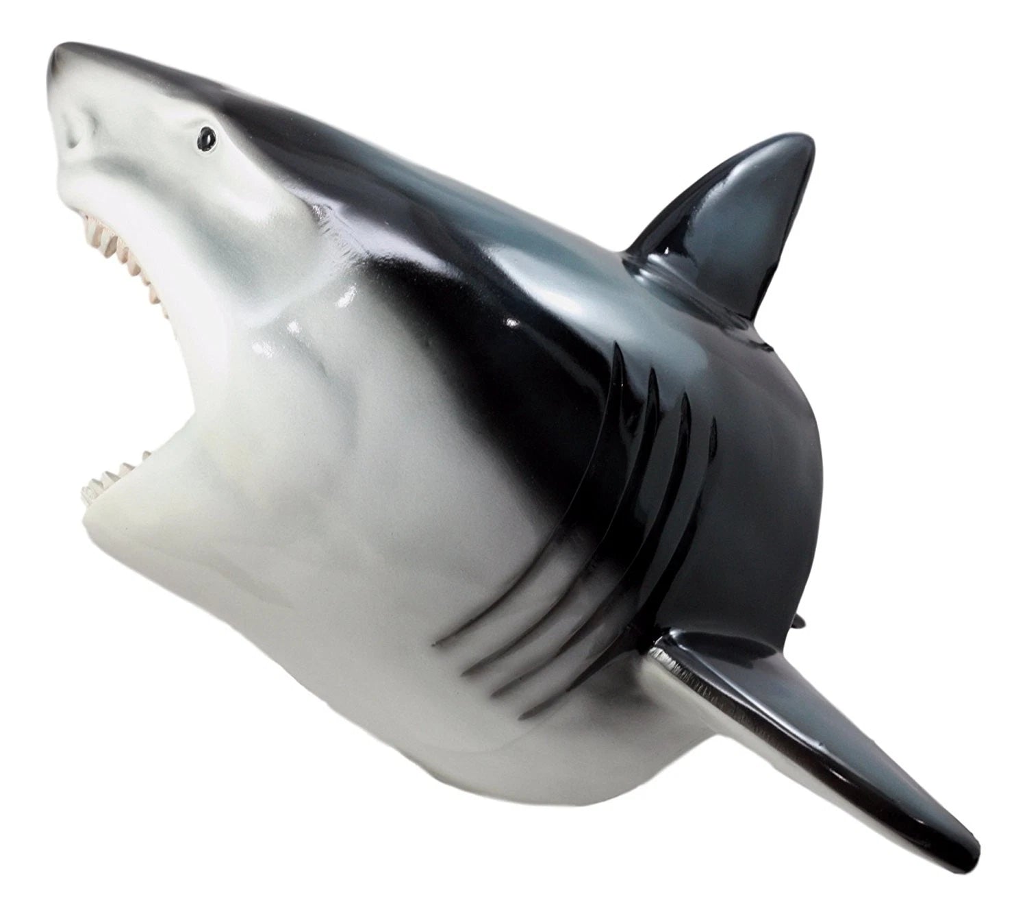 Beware of Great White Shark Jaws Mako Predator Wall Mount Plaque Figurine Decor-10