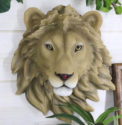 Safari King Of The Jungle Lion Head Wall Plaque 9.25"Tall Taxidermy-11