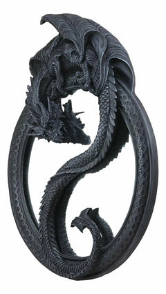 Feng Shui Yin Yang Harmony Celestial Dragon Wall Hanging Mirror Plaque Decor-9