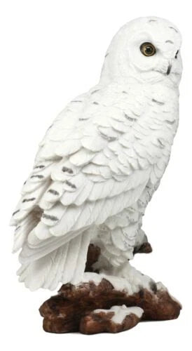 Estatua de búho blanco místico de 31 cm de alto, decoración nocturna con búhos.-10