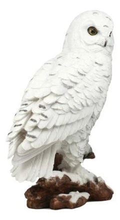 Estatua de búho blanco místico de 31 cm de alto, decoración nocturna con búhos.-10