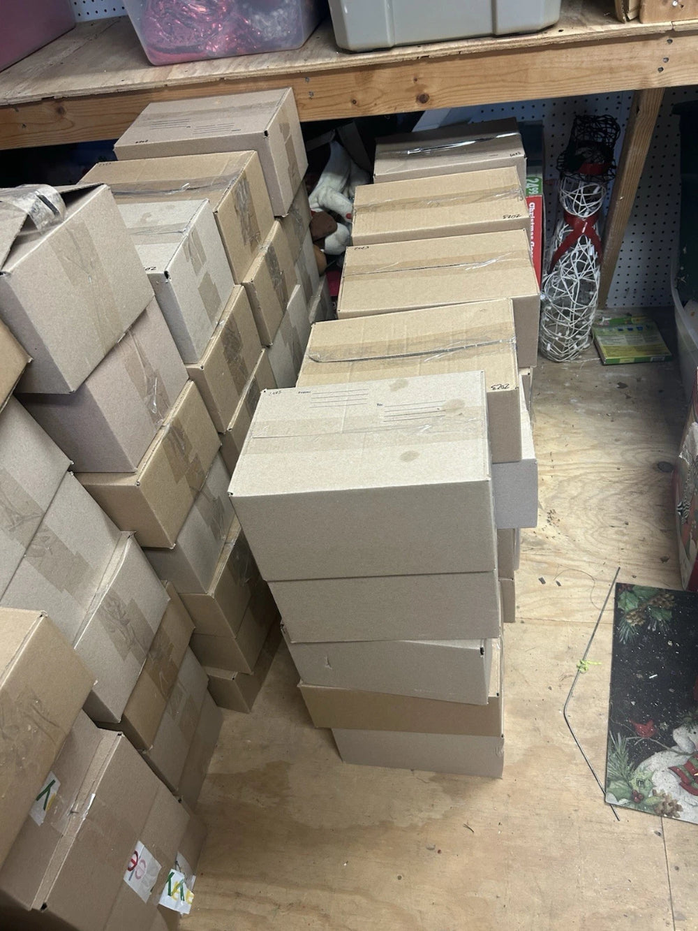 Huge Bulk Lot Sports Cards Over 3,000 Cards-2