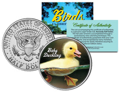 BABY DUCKLING *Collectible Birds* JFK Kennedy Half Dollar US Colorized Coin DUCK-1