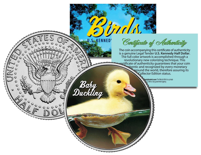 BABY DUCKLING *Collectible Birds* JFK Kennedy Half Dollar US Colorized Coin DUCK-1