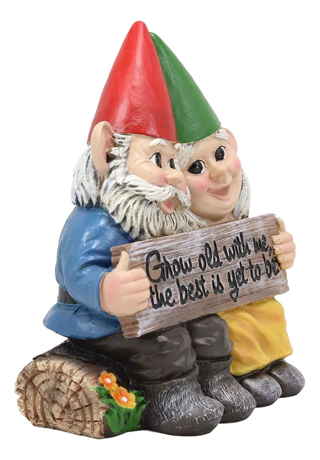 Grow Old With Me The Best Is Yet To Be Whimsical Mr & Mrs Gnome Statue-3