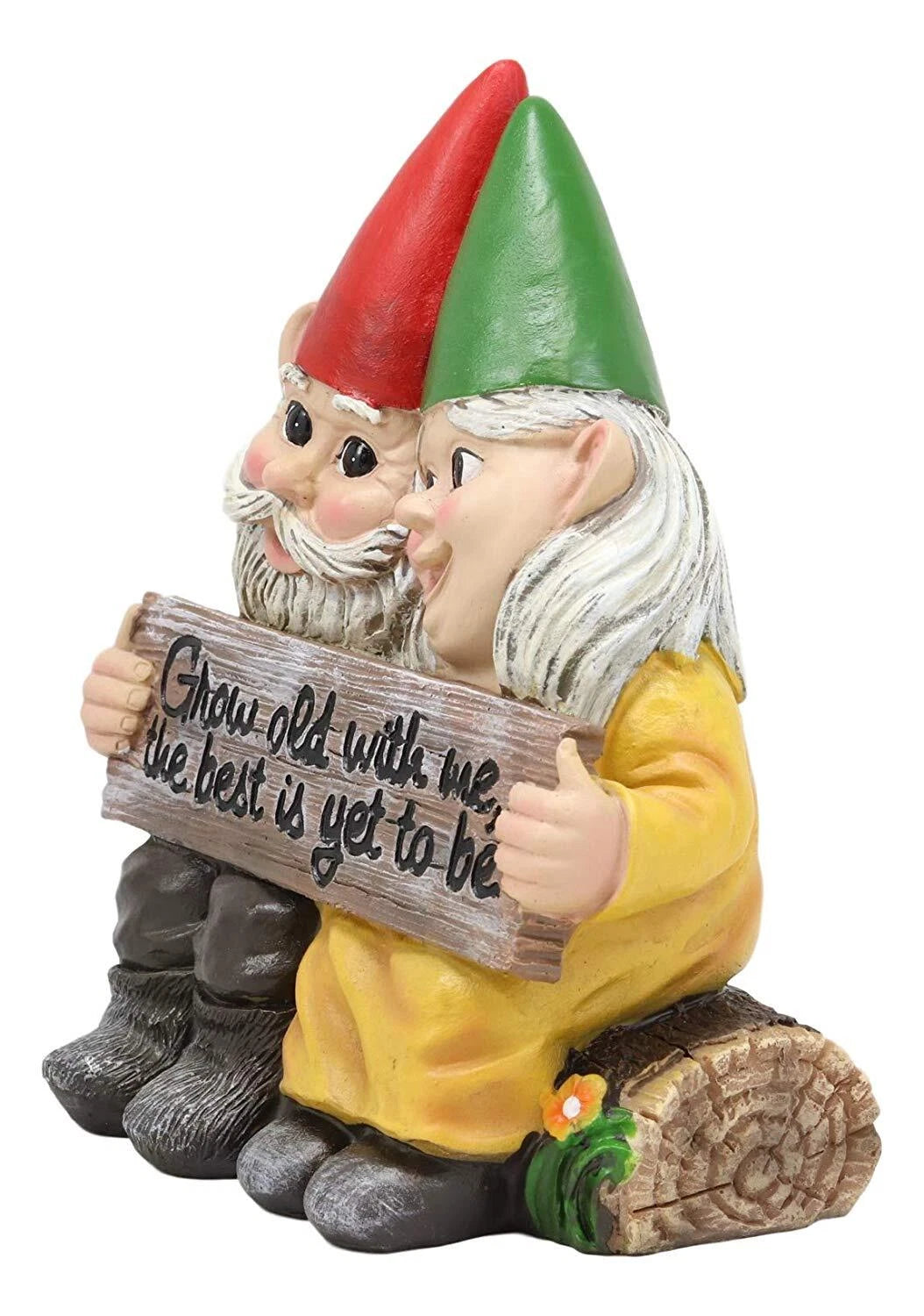 Grow Old With Me The Best Is Yet To Be Whimsical Mr & Mrs Gnome Statue-4