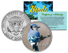BLUE JAY BIRD JFK Kennedy Half Dollar US Colorized Coin-1