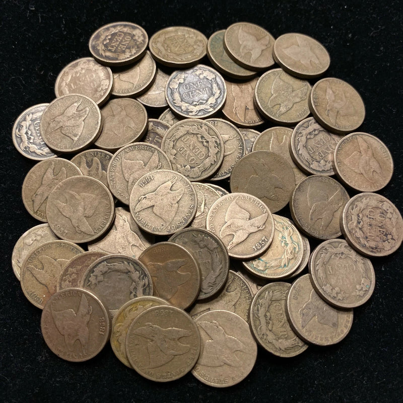 Estate Coin Flying Eagle Cent Early Copper ✯US 1c Penny ✯-2