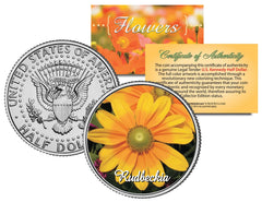 RUDBECKIA FLOWER JFK Kennedy Half Dollar US Colorized Coin-1