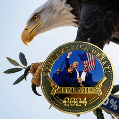 4 PCS 2024 President Trump Commemorative Coin Take America Back Metal Coin-5