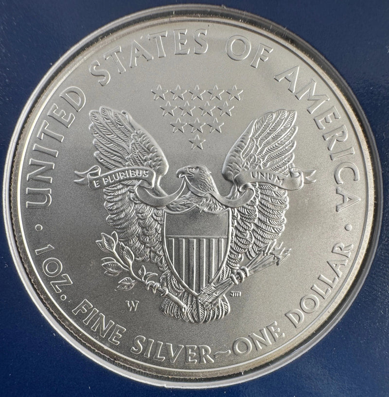 2008 US Mint Annual Uncirculated Dollar 6 Coin Set w/ 1 oz ASE + Golden Dollars-5