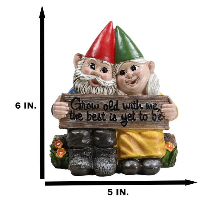 Grow Old With Me The Best Is Yet To Be Whimsical Mr & Mrs Gnome Statue-9
