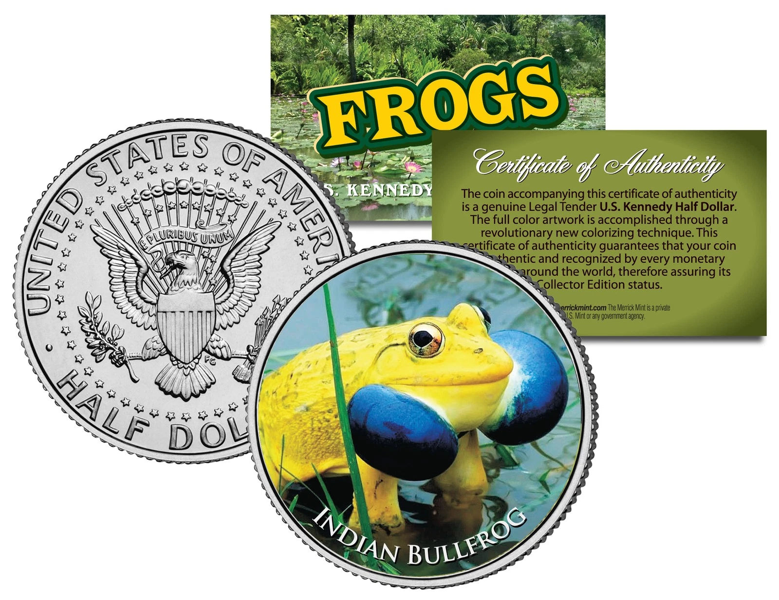 INDIAN BULLFROG * Collectible Frogs * JFK Kennedy Half Dollar US Colorized Coin