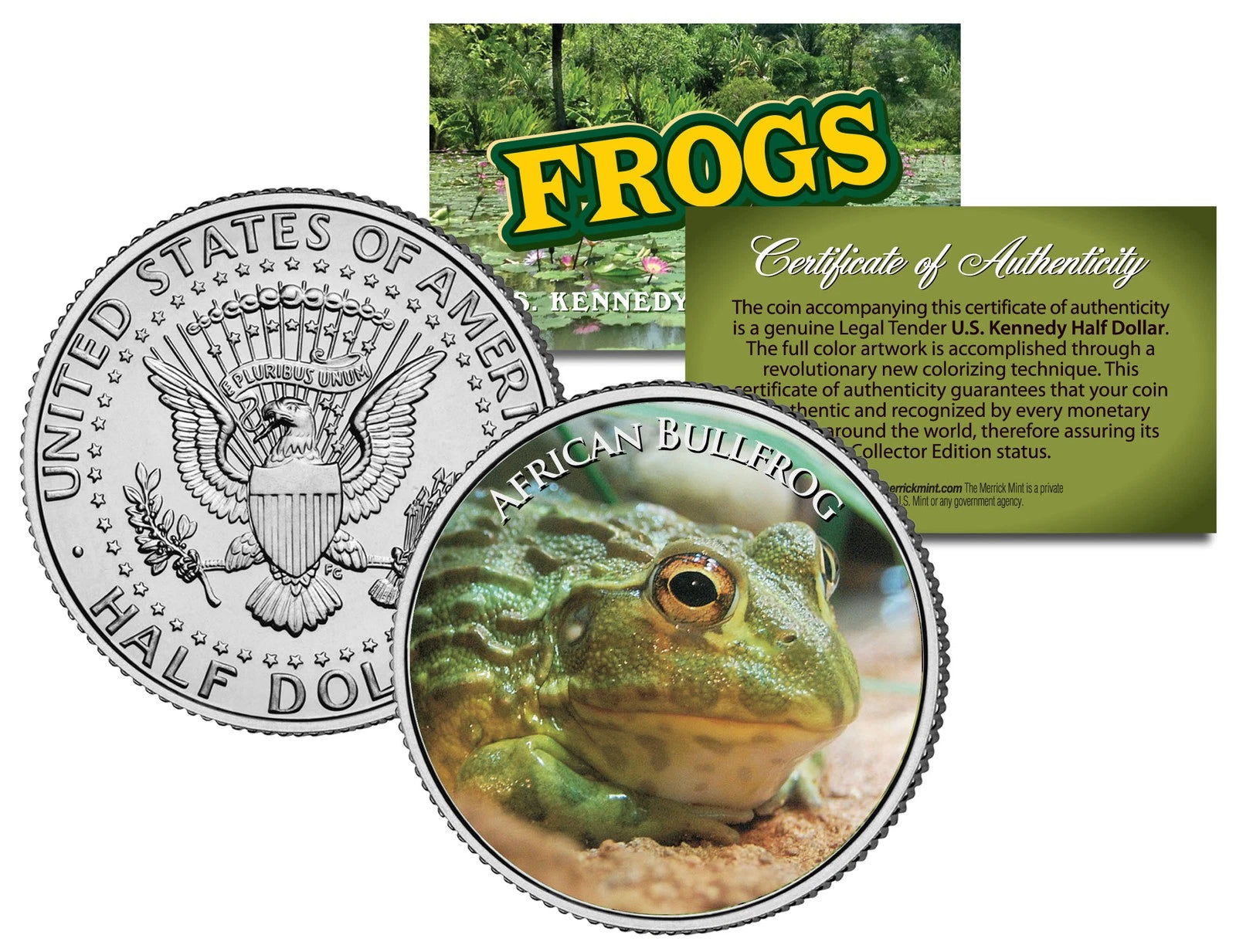 AFRICAN BULLFROG * Collectible Frogs * JFK Kennedy Half Dollar US Colorized Coin-1