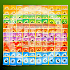 120 Pokémon Basic Energy Cards TCG – 20 of Each Classic Type Fire, Water, Grass, Lightning, Psychic, Fighting, Darkness, Metal, Fairy, Colorless – Collectible Trading Cards-3