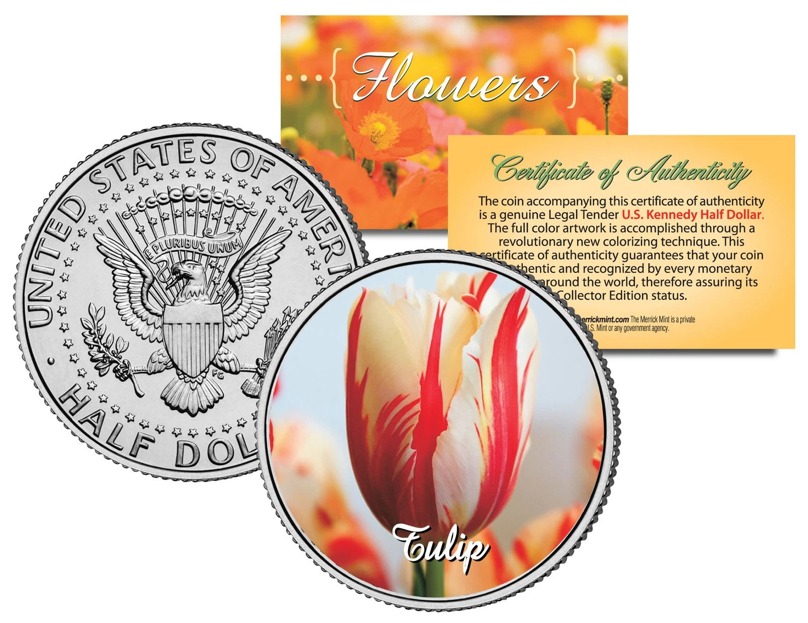 TULIP FLOWER JFK Kennedy Half Dollar US Colorized Coin-1