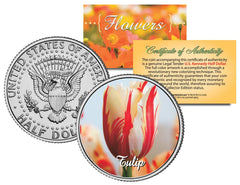 TULIP FLOWER JFK Kennedy Half Dollar US Colorized Coin-1