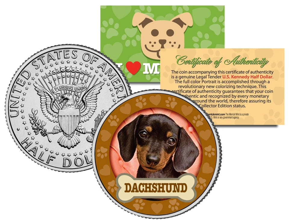 ACHSHUND Dog JFK Kennedy Half Dollar US Colorized Coin