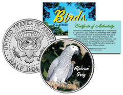 AFRICAN GREY BIRD JFK Kennedy Half Dollar US Colorized Coin-1